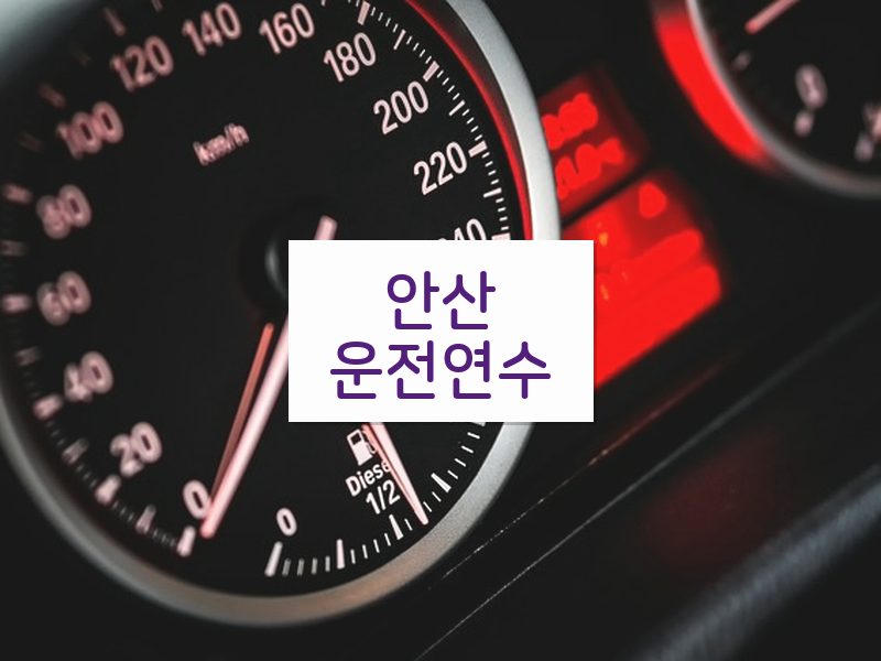 안산운전연수 후기