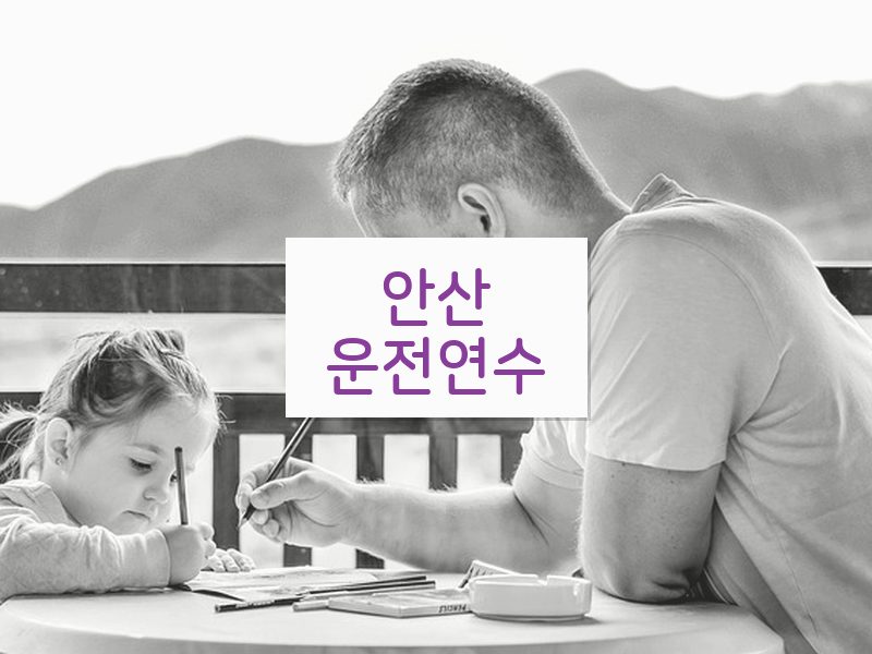 안산운전연수 후기