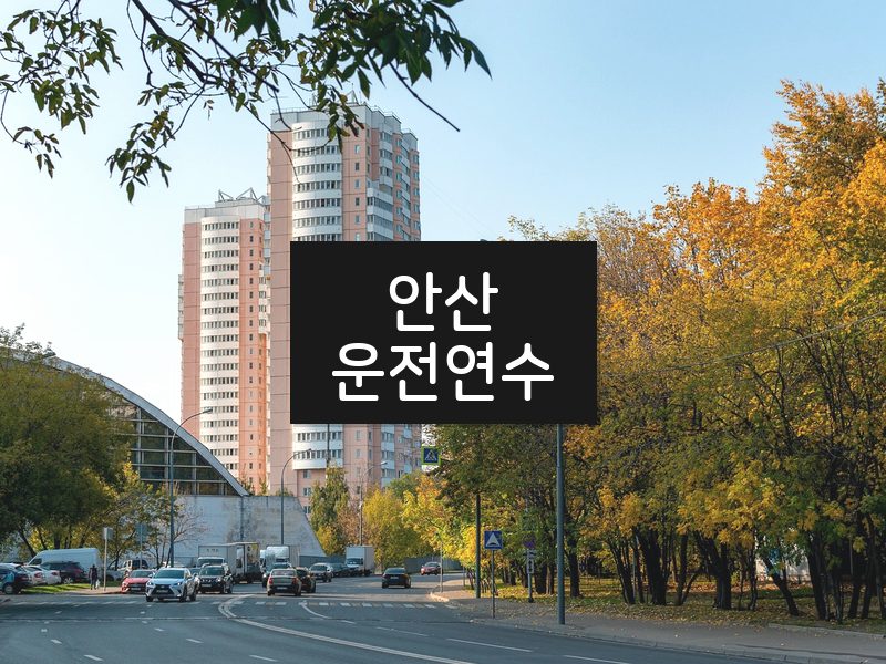 안산운전연수 후기
