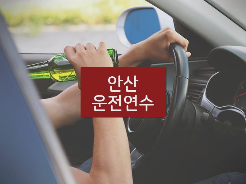 안산운전연수 후기