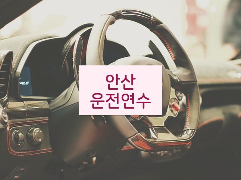 안산운전연수 후기