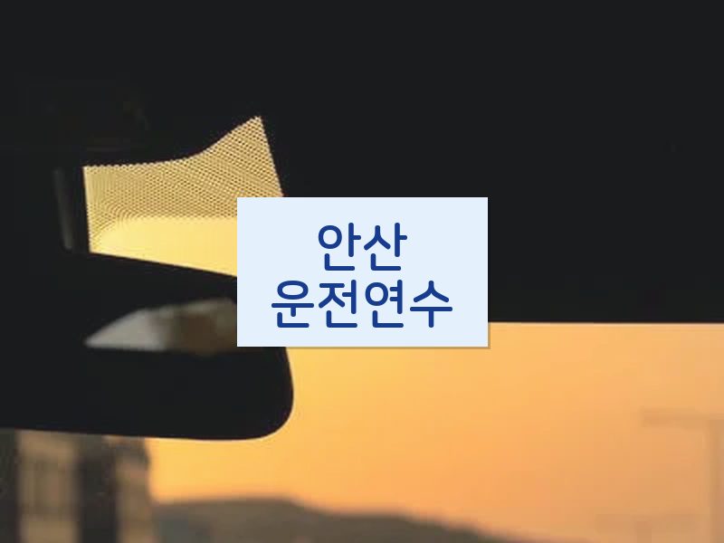 안산운전연수 후기