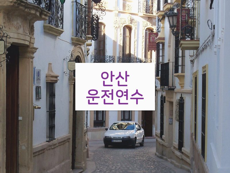 안산운전연수 후기
