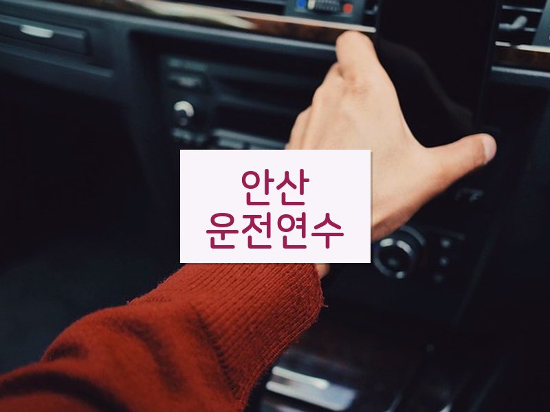 안산운전연수 후기