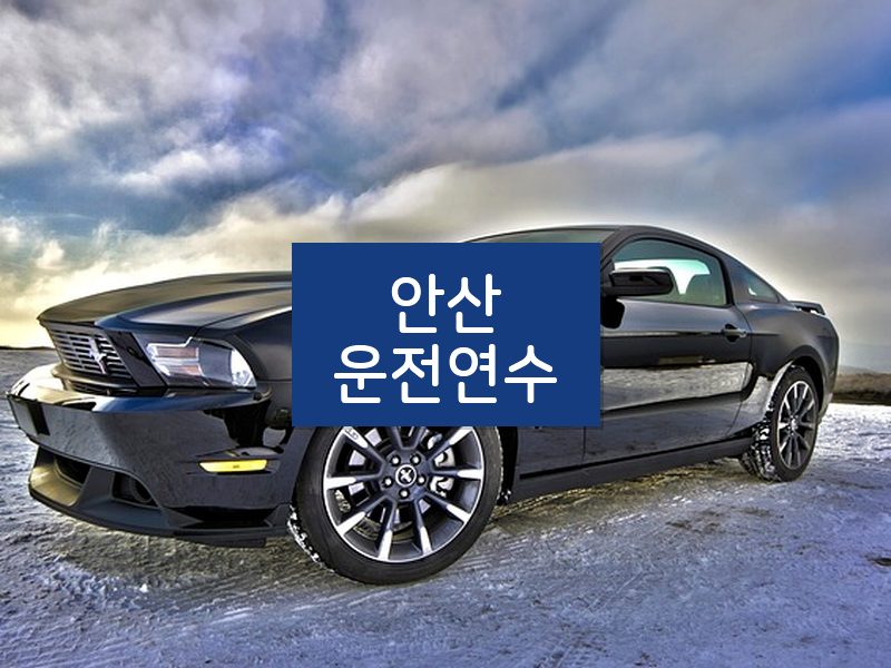 안산운전연수 후기