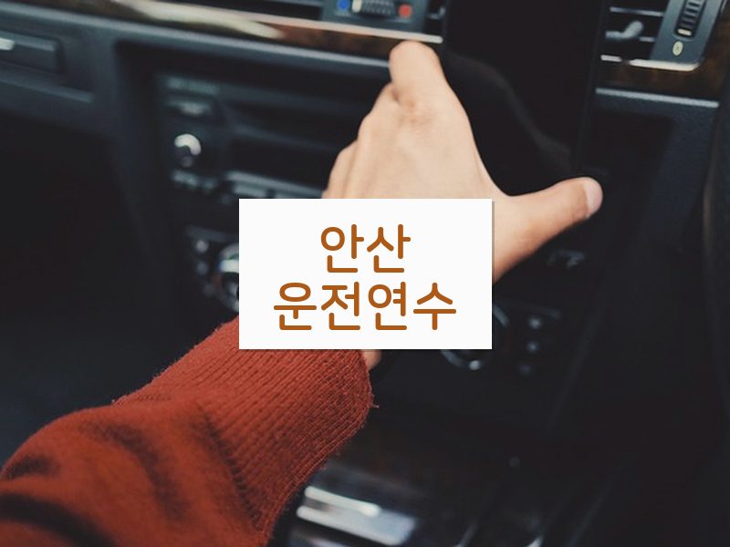 안산운전연수 후기