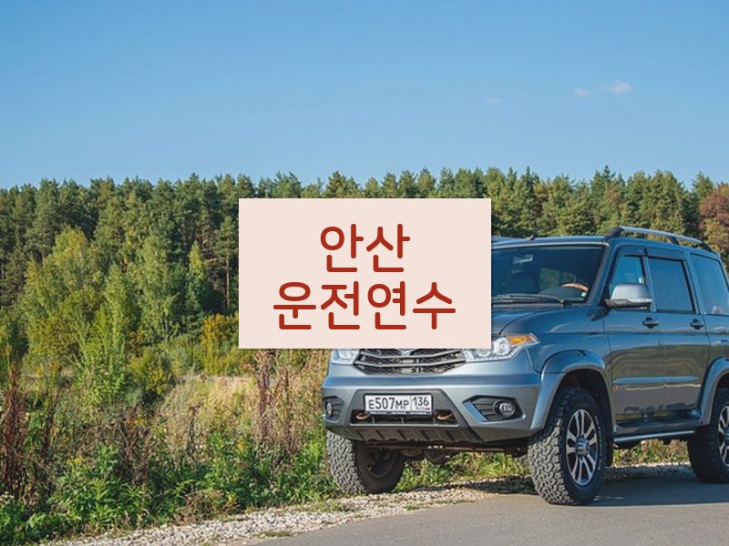 안산운전연수 후기