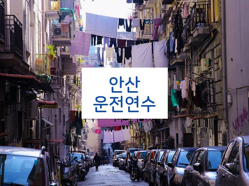 안산운전연수 후기