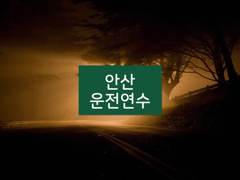 안산운전연수 후기