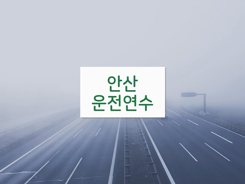 안산운전연수 후기