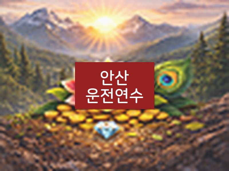 안산운전연수 후기