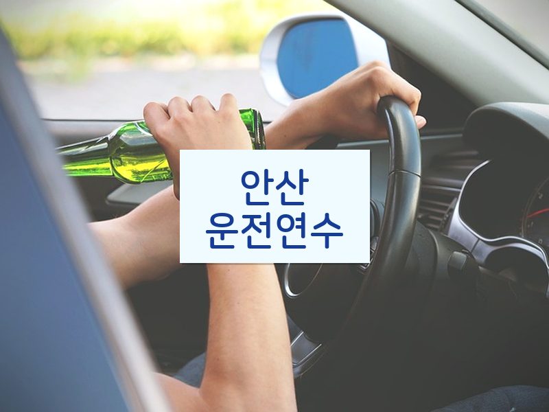 안산운전연수 후기