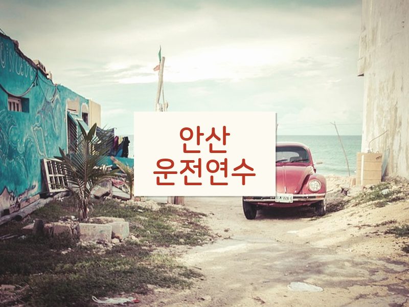 안산운전연수 후기