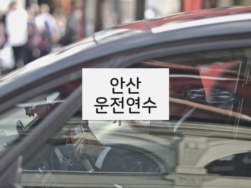 안산운전연수 후기