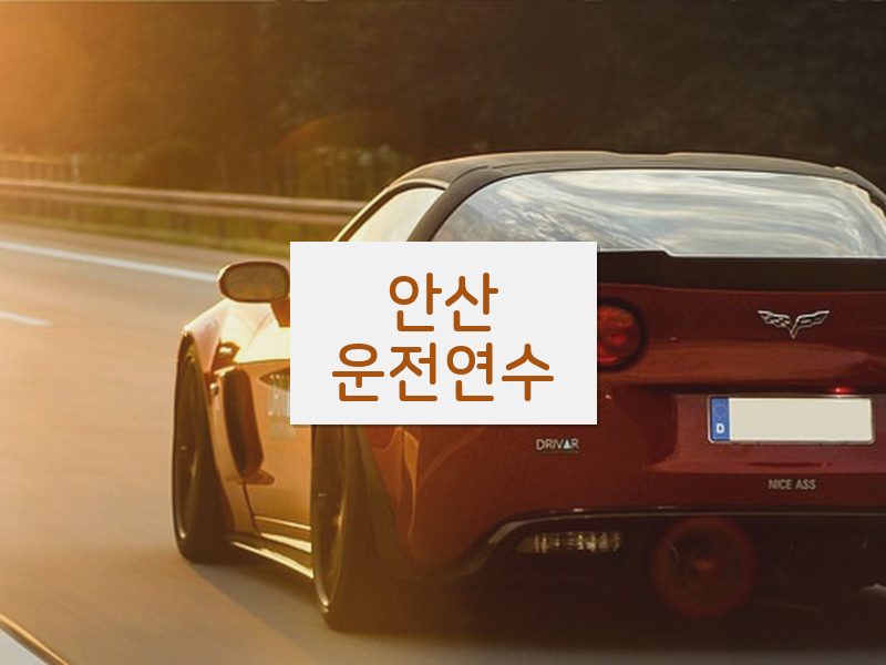 안산운전연수 후기