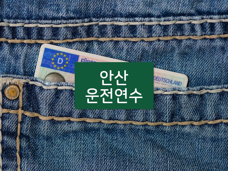 안산운전연수 후기