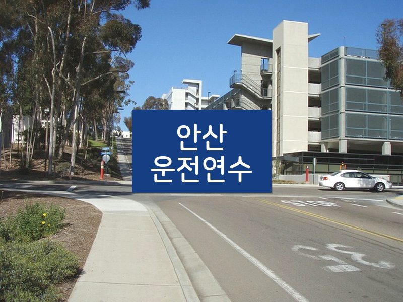 안산운전연수 후기