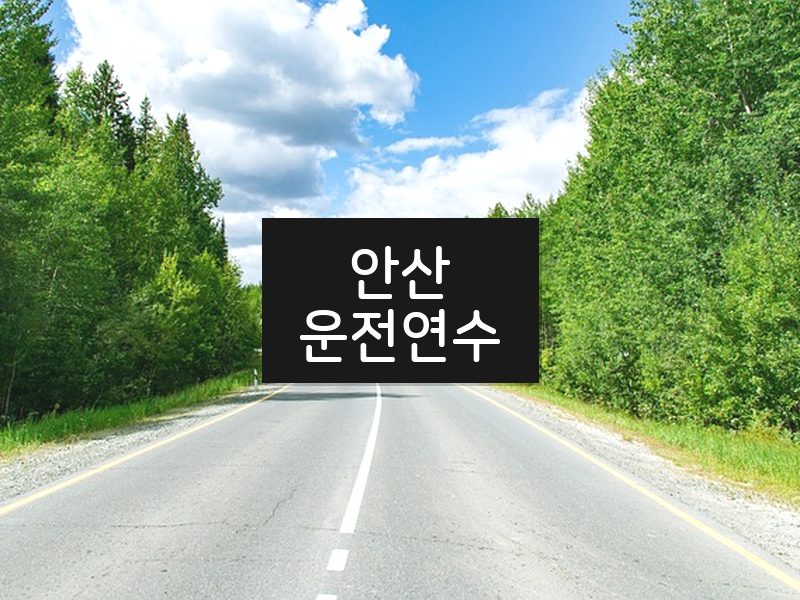 안산운전연수 후기