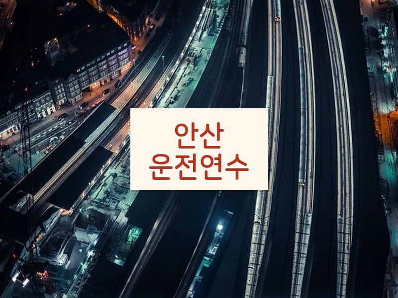 안산운전연수 후기