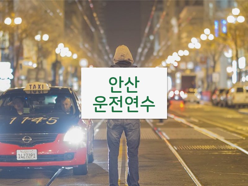 안산운전연수 후기