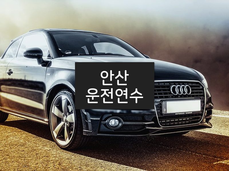 안산운전연수 후기