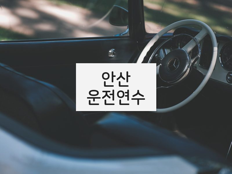 안산운전연수 후기