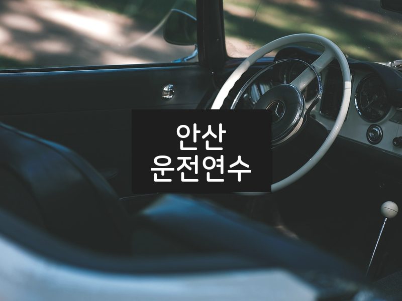 안산운전연수 후기