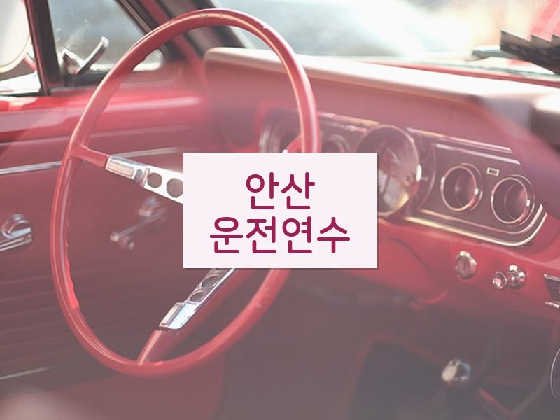 안산운전연수 후기