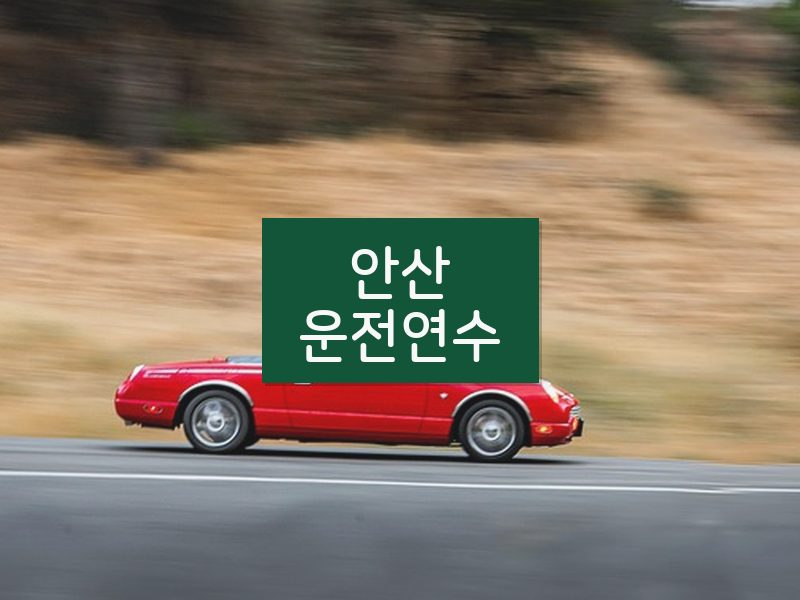 안산운전연수 후기