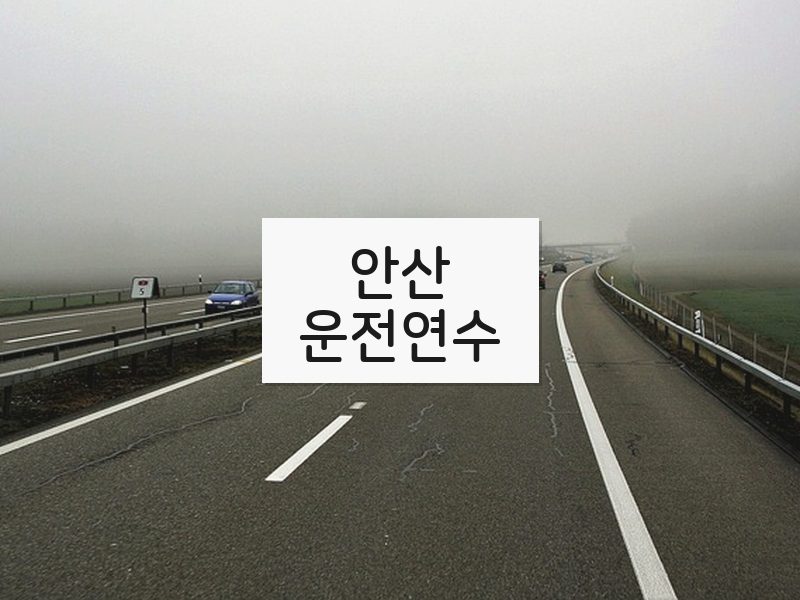 안산운전연수 후기