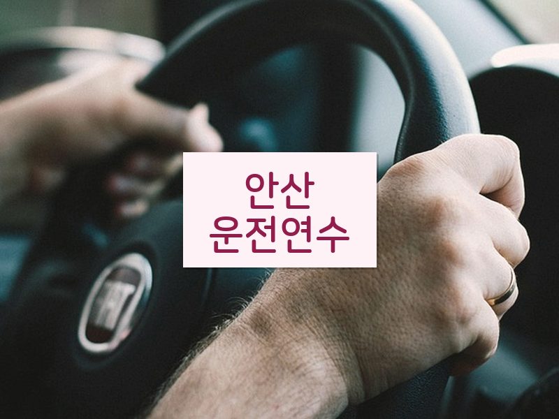 안산운전연수 후기