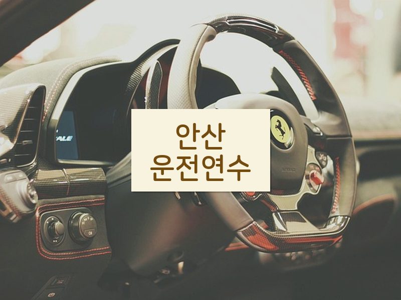안산운전연수 후기