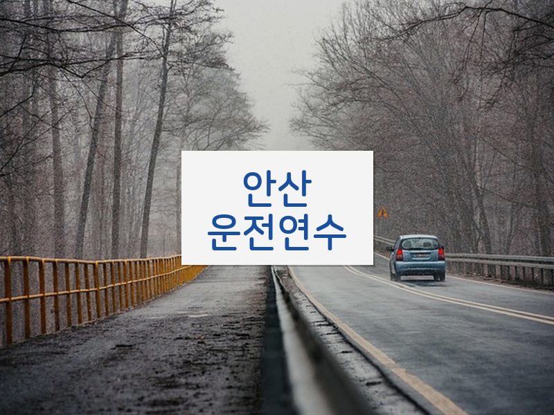 안산운전연수 후기