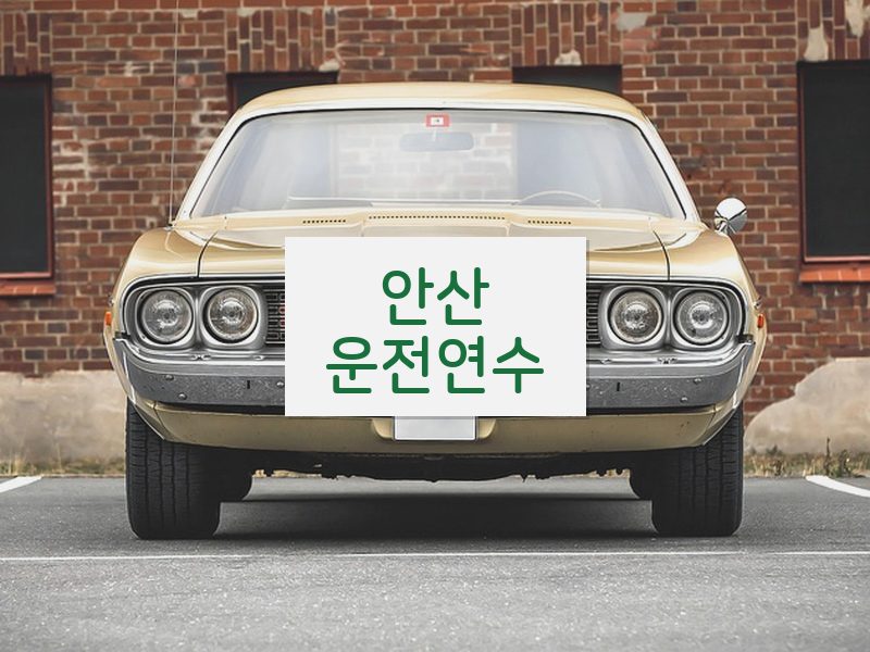 안산운전연수 후기