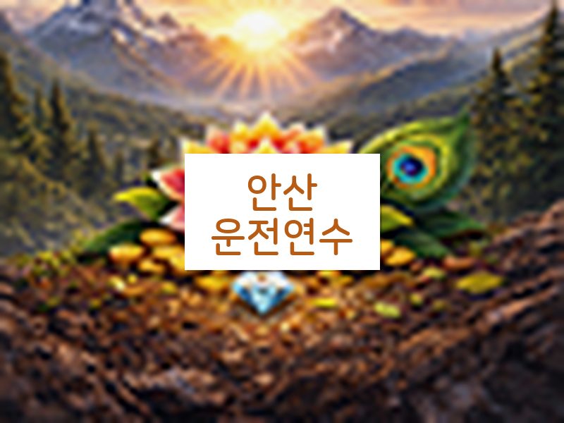 안산운전연수 후기