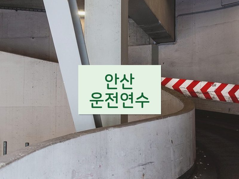 안산운전연수 후기