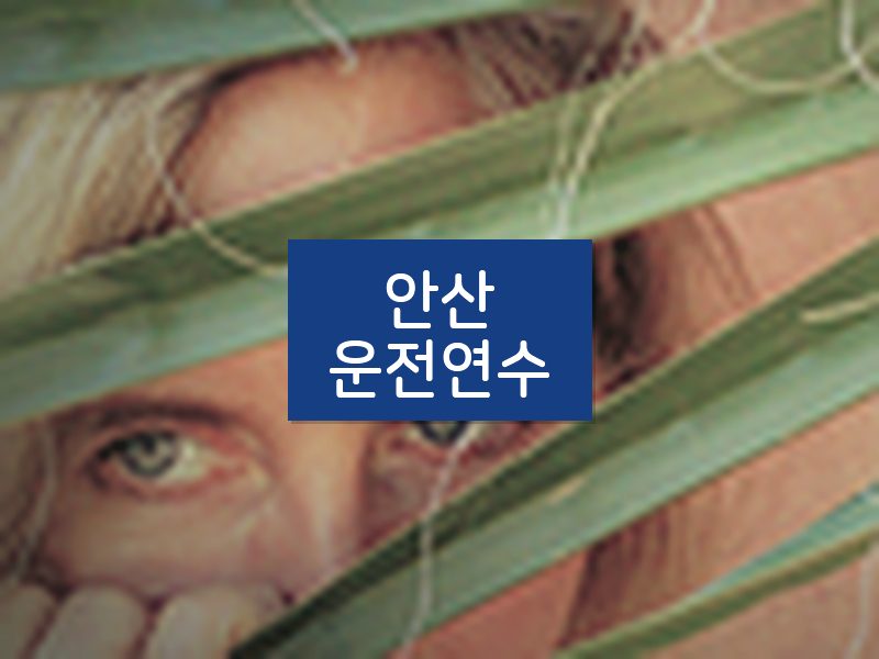 안산운전연수 후기