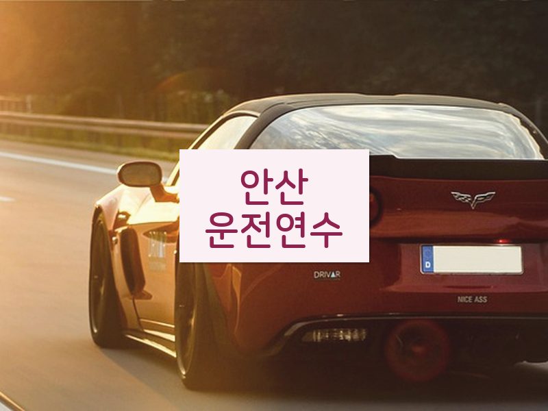 안산운전연수 후기