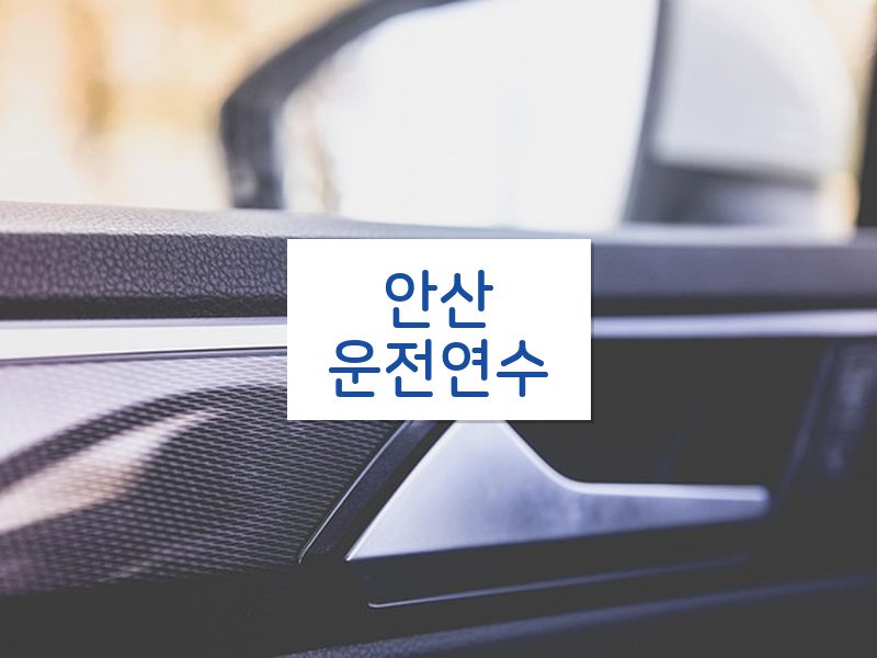 안산운전연수 후기
