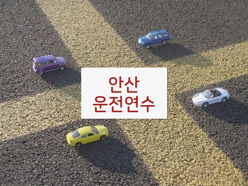 안산운전연수 후기