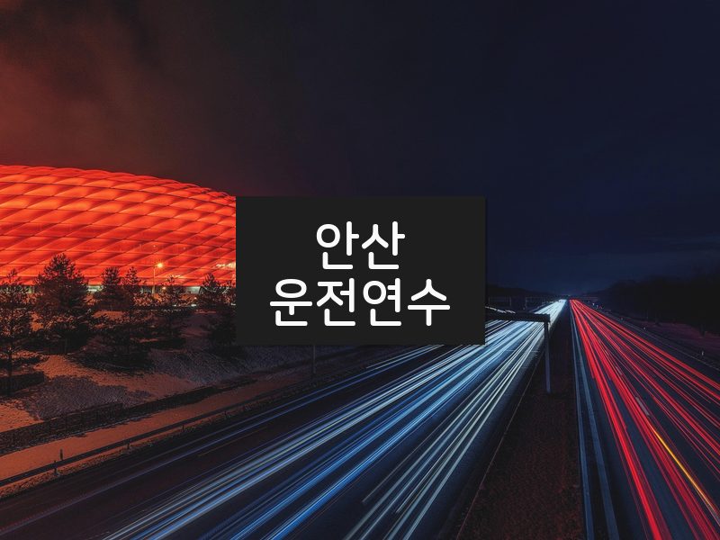 안산운전연수 후기