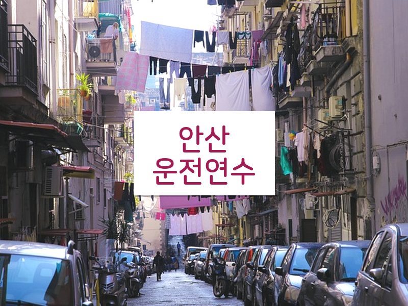 안산운전연수 후기
