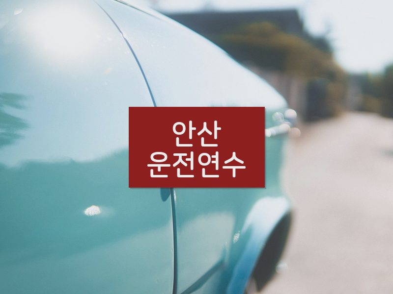 안산운전연수 후기