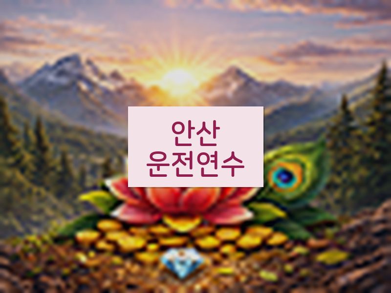 안산운전연수 후기