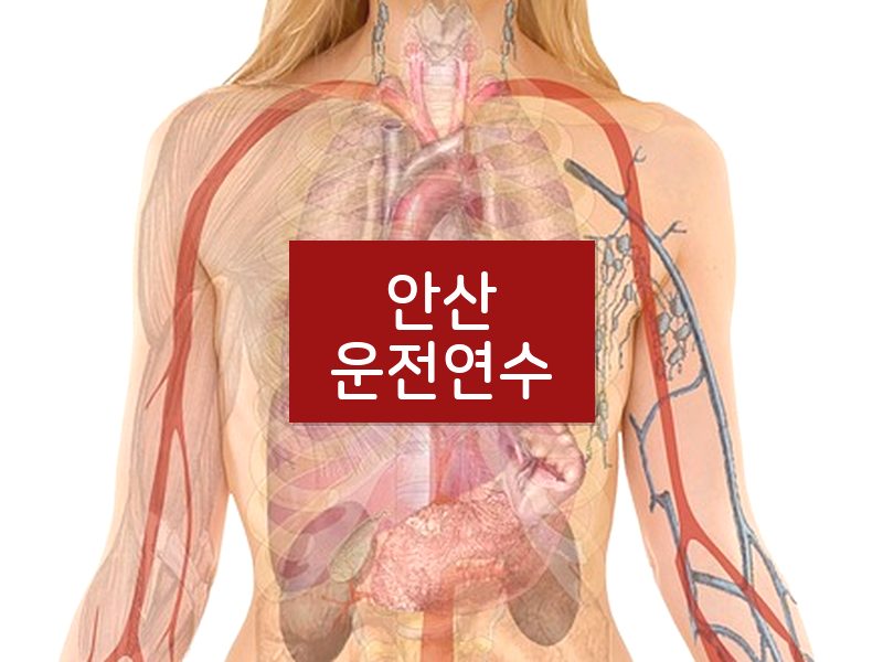 안산운전연수 후기