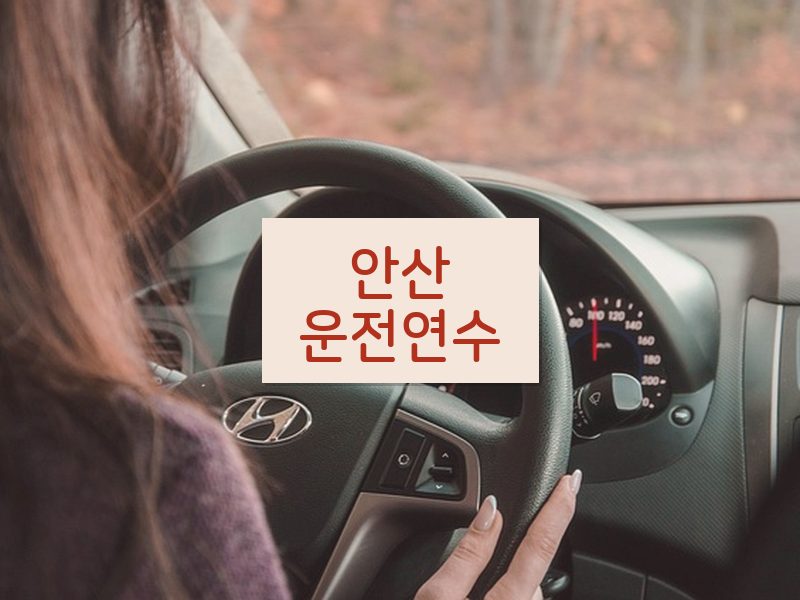 안산운전연수 후기
