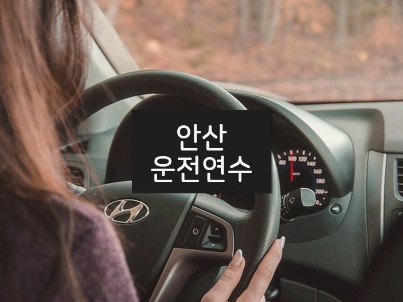 안산운전연수 후기