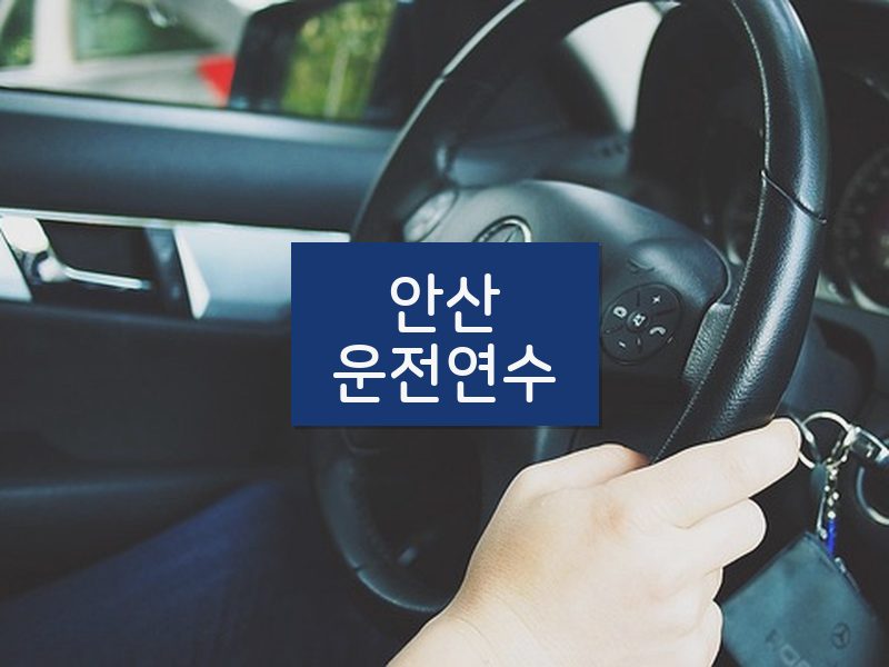 안산운전연수 후기