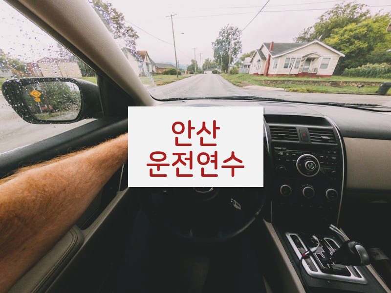 안산운전연수 후기