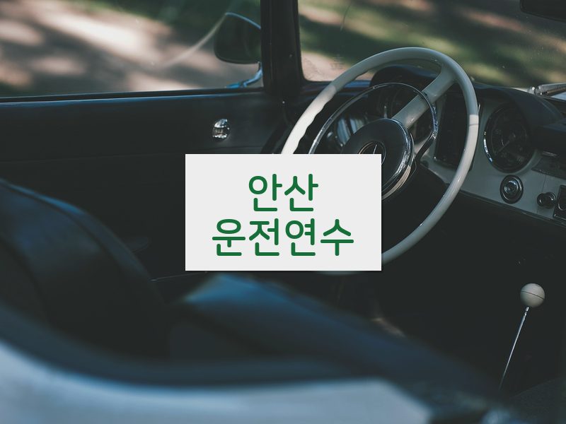안산운전연수 후기